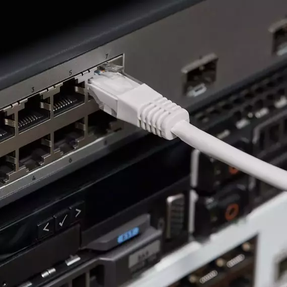 Патч-корд кат.5E U/UTP неэкранир. RJ45-RJ45 LSZH сер. 1.5м Rexant 18-8004, изображение 3