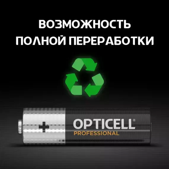 Элемент питания алкалиновый AA/LR6 (блист. 6шт) Professional Opticell 5052003, изображение 6