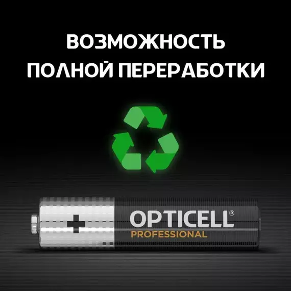 Элемент питания алкалиновый AAA/LR03 (блист. 12шт) Professional Opticell 5052006, изображение 6