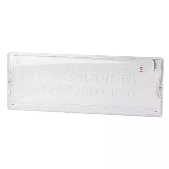 Светильник светодиодный DPA-301-1-65 IP65 40LED 3ч аварийный постоянный Эра Б0051843