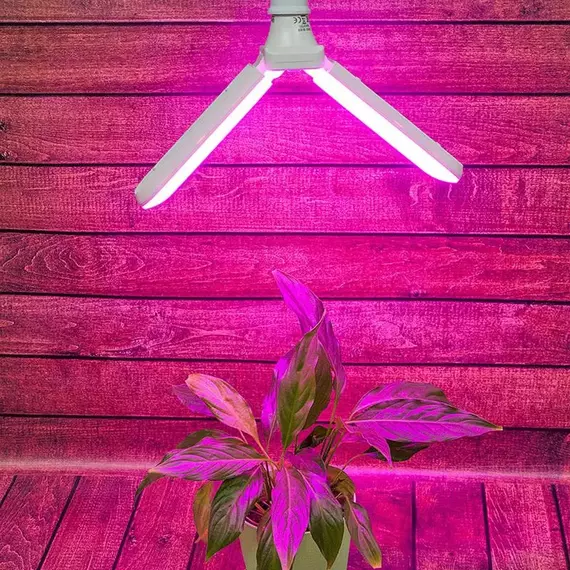 Лампа светодиодная LED-P65-16W/SPSB/E27/FR/P2 PLP32WH 16Вт P65 лепестковая матовая E27 для растений спектр для рассады и цветения (упак. картон) Uniel UL-00007406, изображение 2